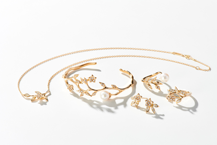 MASANA KIKYO COLLECTION